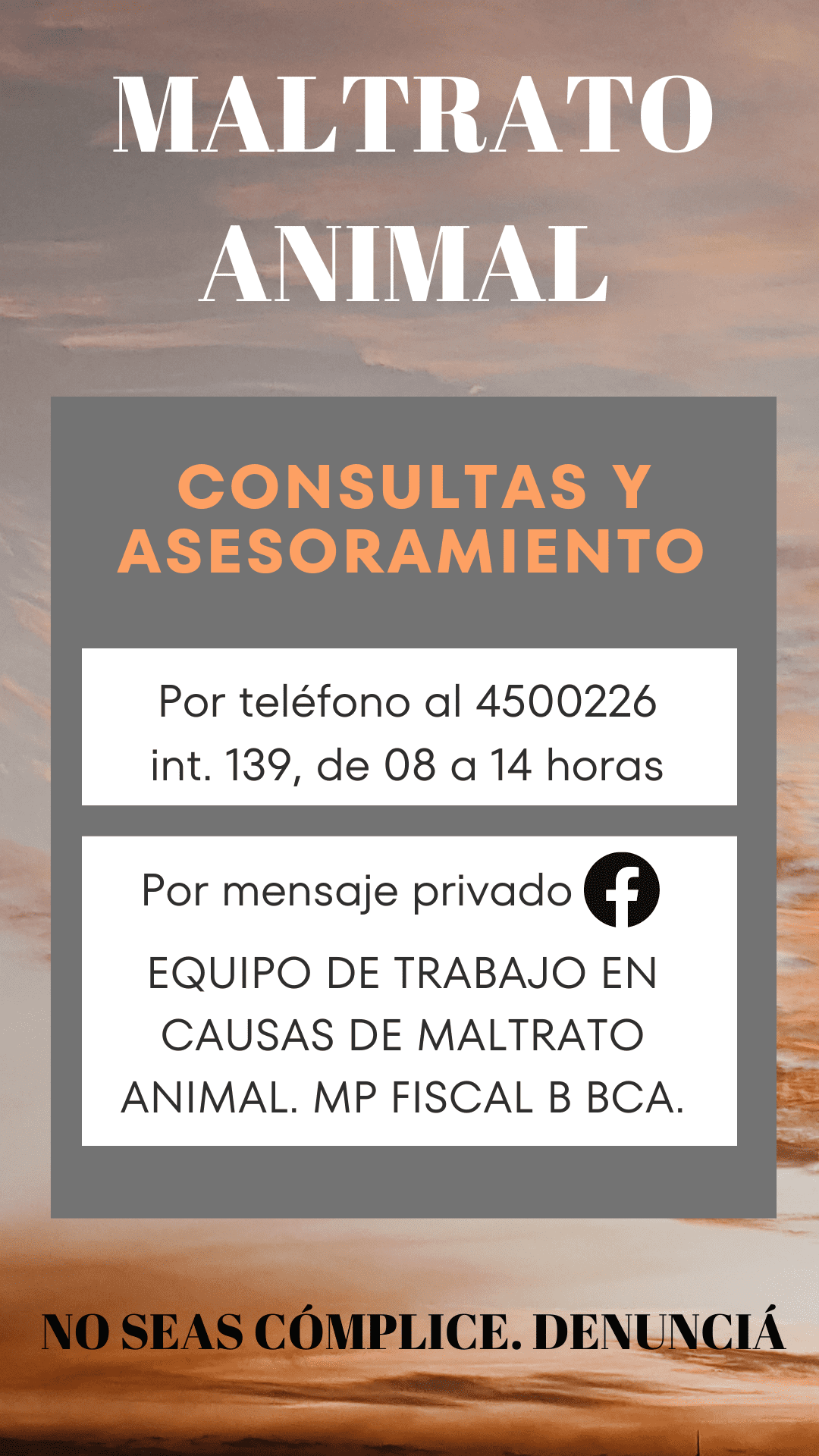 posteo instagram con informacion para consultas