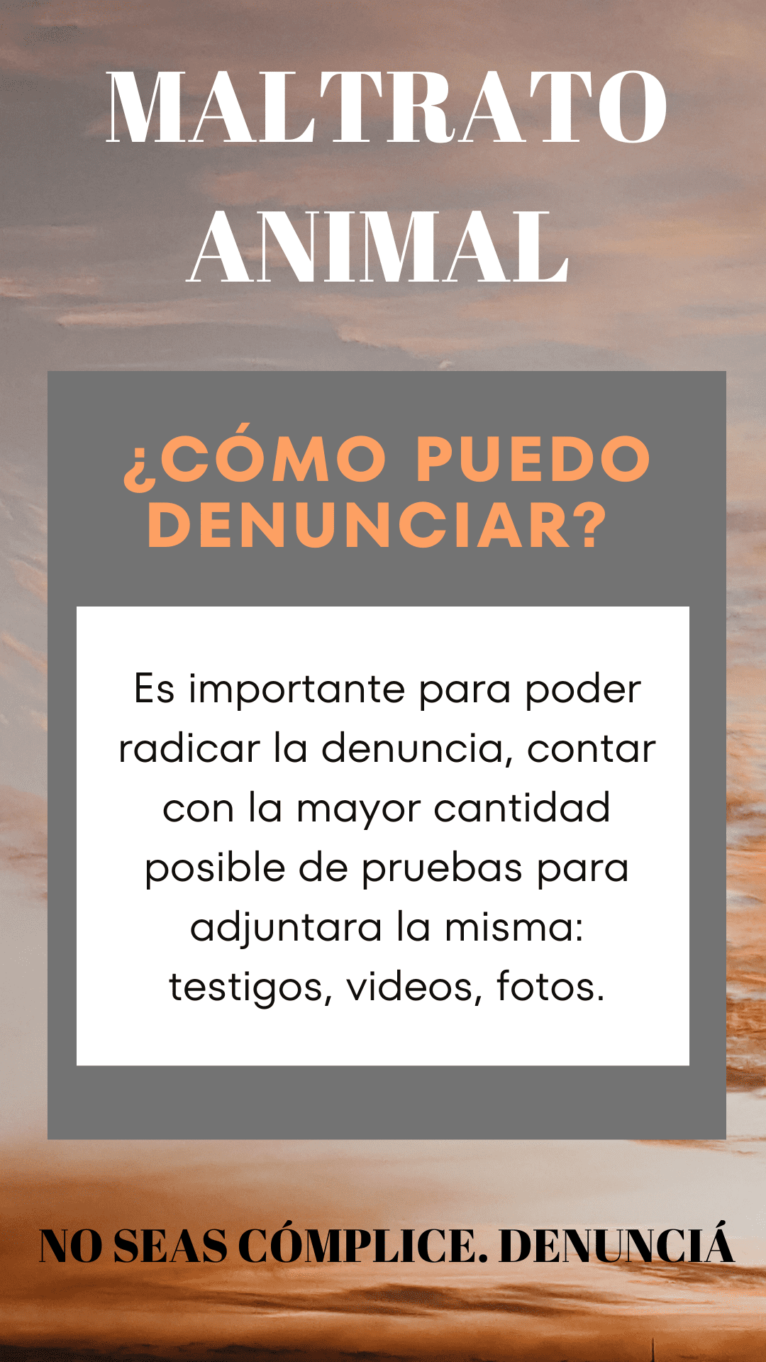 posteo instagram con informacion sobre maltrato animal